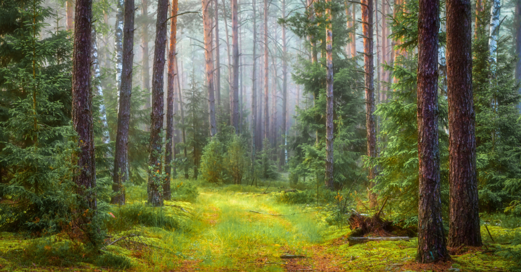 AIは「情報の入り口」から「人生のフィルター」へ。AIO時代の生存戦略